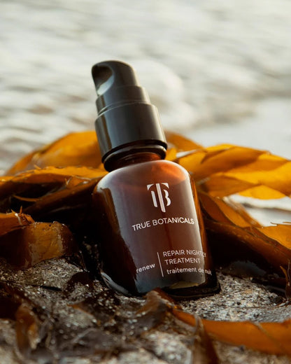 Renew Repair Nightly Treatment